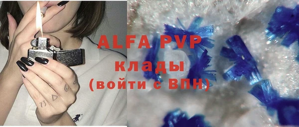 индика Коряжма