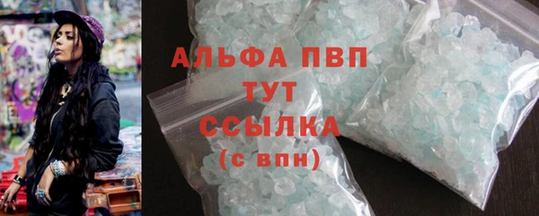 индика Коряжма