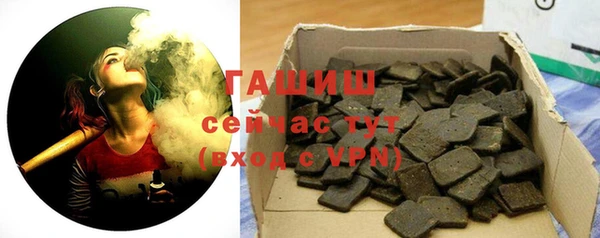 индика Коряжма