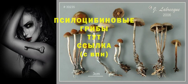 синтетический гашиш Козловка