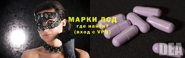 индика Коряжма