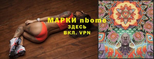 индика Коряжма