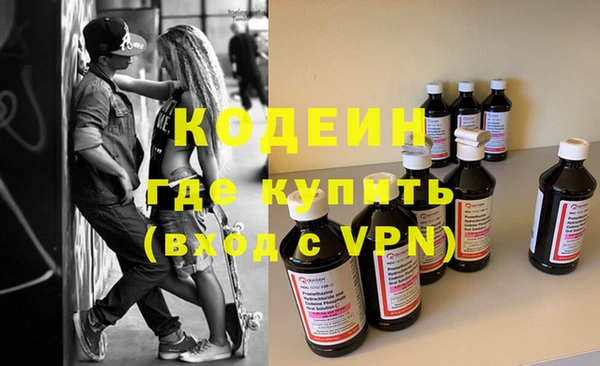 индика Коряжма