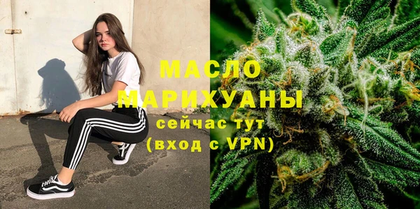 индика Коряжма